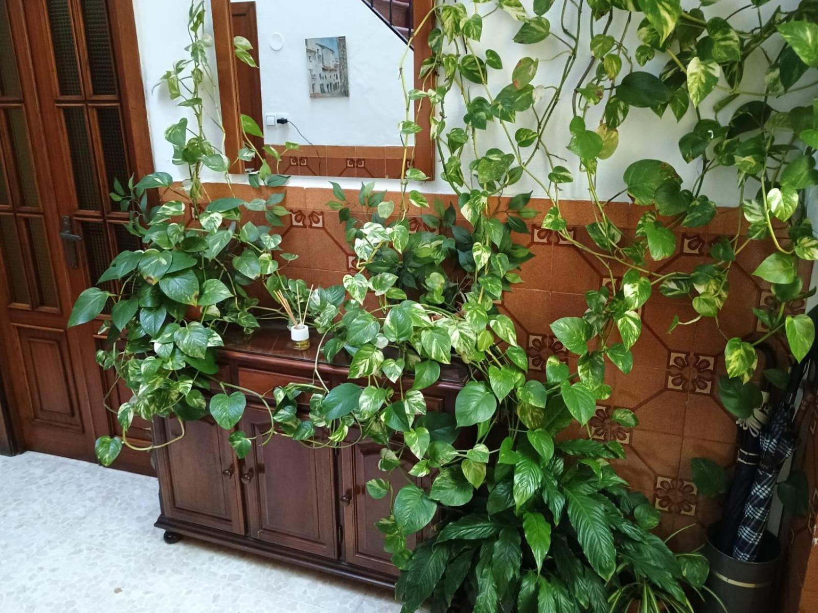 Casa Matbel Διαμέρισμα Κόρδοβα Εξωτερικό φωτογραφία